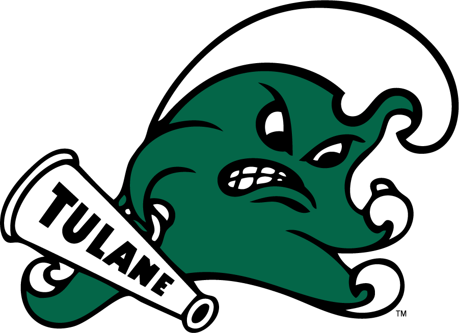 Tulane Green Wave 2016-2017 Secondary Logo v3 t shirts iron on transfers